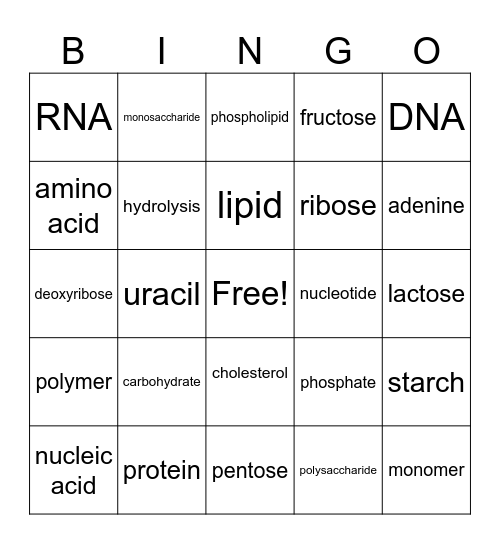 Macromolecules Bingo Card