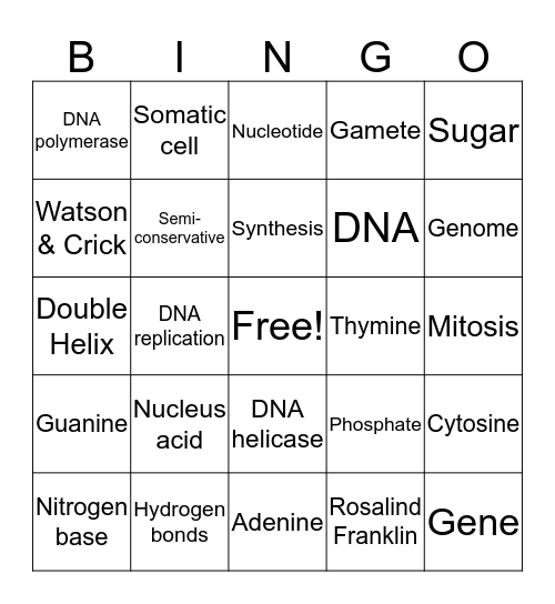 DNA Vocabulary BINGO Card