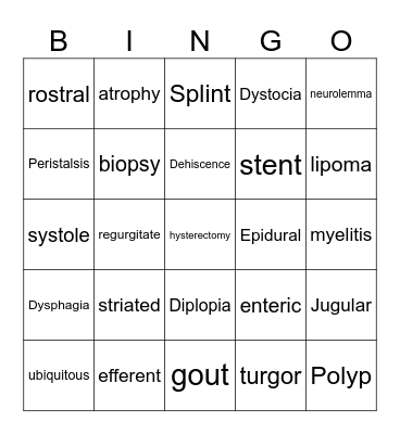 Veterinary and Medical Terminology Bingo Card