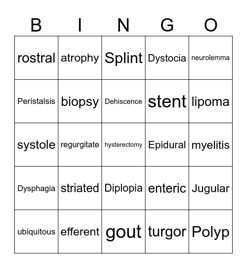 Veterinary and Medical Terminology Bingo Card