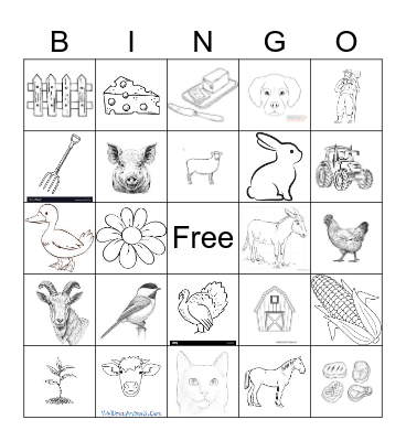 On The Farm Bingo Card