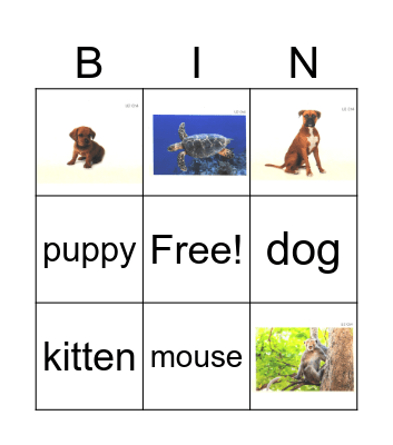 U2Ch4 Pets Bingo Card