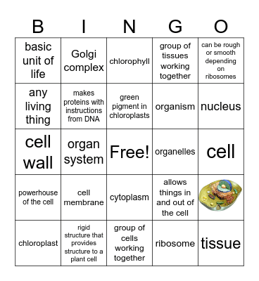 Unit 1 Science 7 (7.12D, 7.12C) Bingo Card