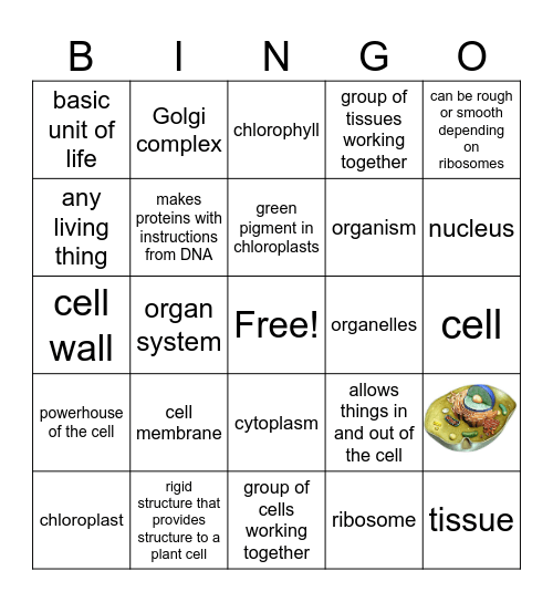 Unit 1 Science 7 (7.12D, 7.12C) Bingo Card