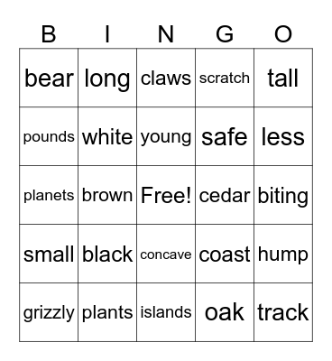 Bear Bingo Card