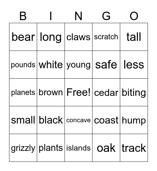 Bear Bingo Card