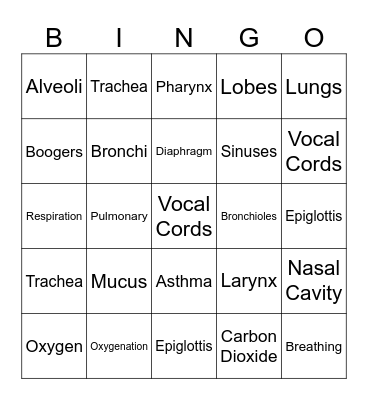 Respiratory System Bingo Card