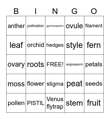 Parts of the Flower Bingo Card