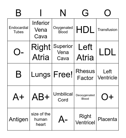 Cardiovascular 1 Bingo Card