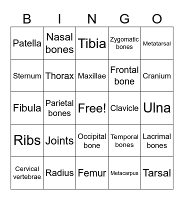 Bones of the Body Bingo Card
