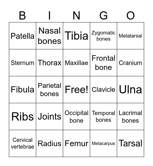 Bones of the Body Bingo Card