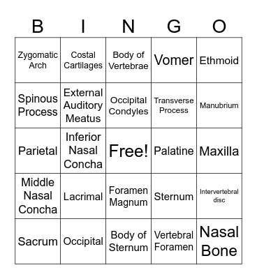 Axial Skeleton Bingo Card