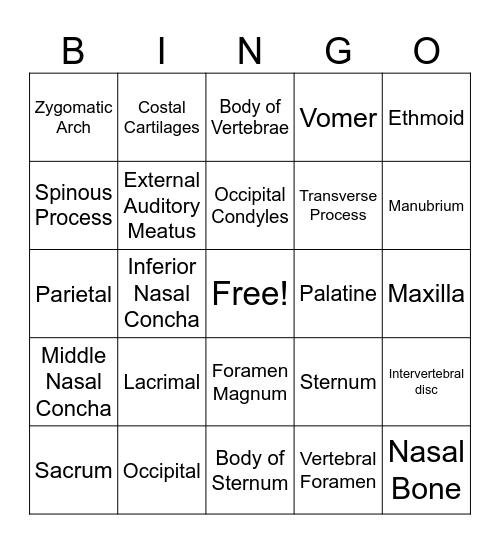 Axial Skeleton Bingo Card