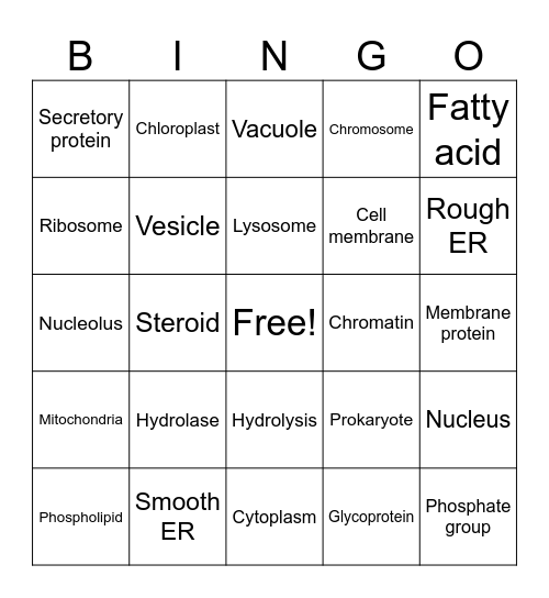 Cell & Organelle Bingo Card