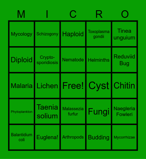 Unit 2A BINGO!! Bingo Card