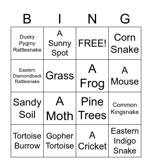 Gopher Tortoise Bingo Card