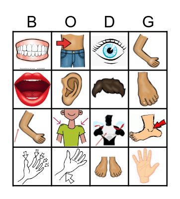 BODY PARTS no word 4x Bingo Card