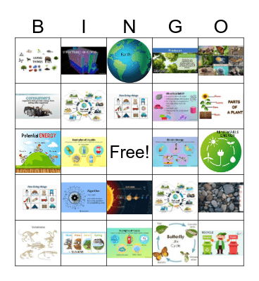 2nd grade Science Bingo Card