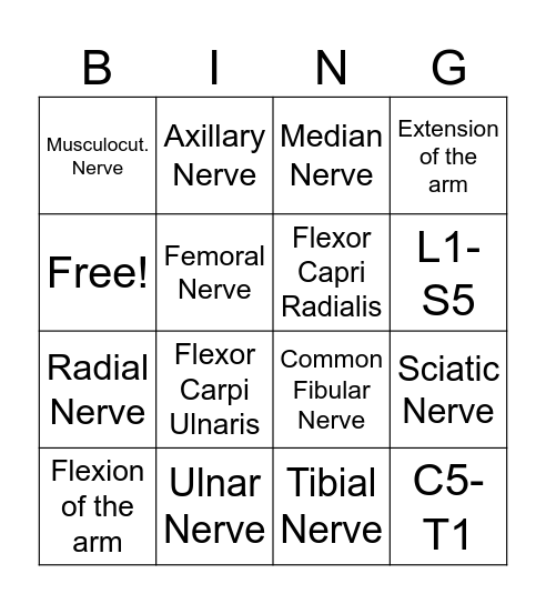 Peripheral Nerves Bingo Card