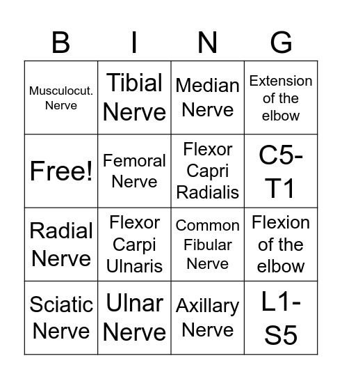 Peripheral Nerves Bingo Card
