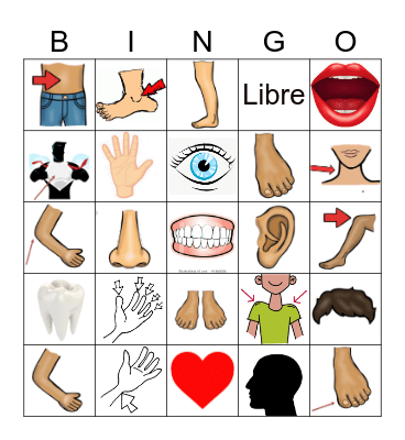El CUERPO Bingo Card