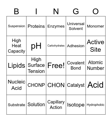 The Chemistry of Life Bingo Card