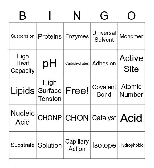 The Chemistry of Life Bingo Card