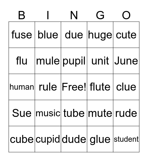 Long u words Bingo Card