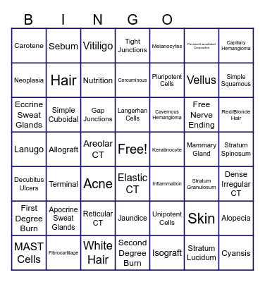 Chapter 5 & 6 Bingo Card