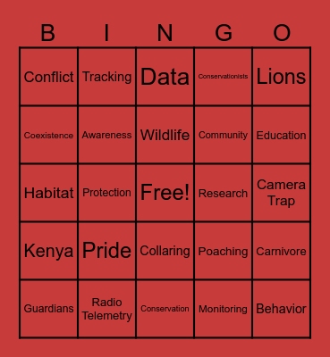 Lion Guardians Bingo Card