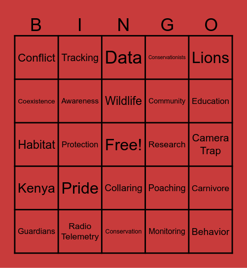 Lion Guardians Bingo Card