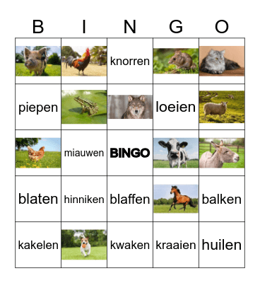 Dierengeluiden Bingo Card