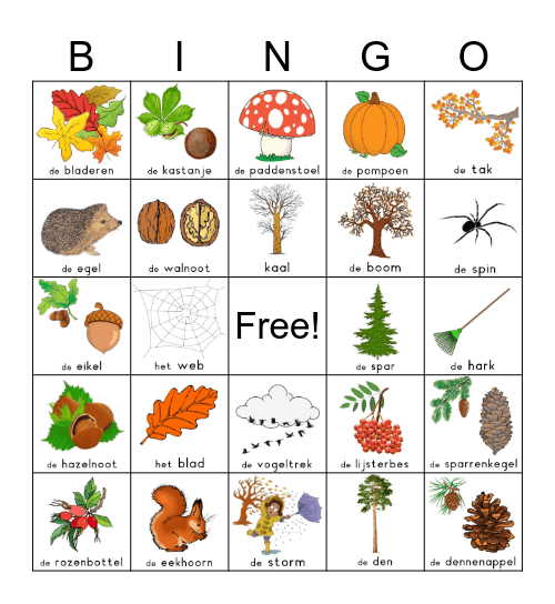Herfst bingo Card