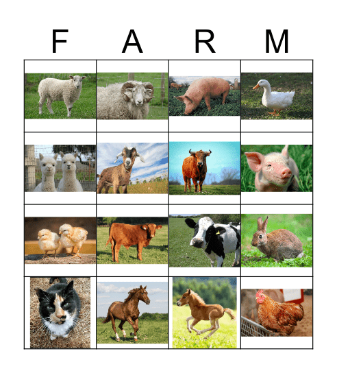 Farm Animal Bingo Card