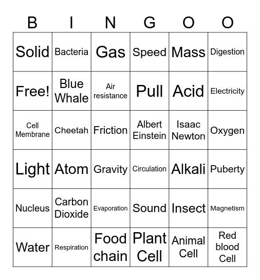 Science Bingo Card