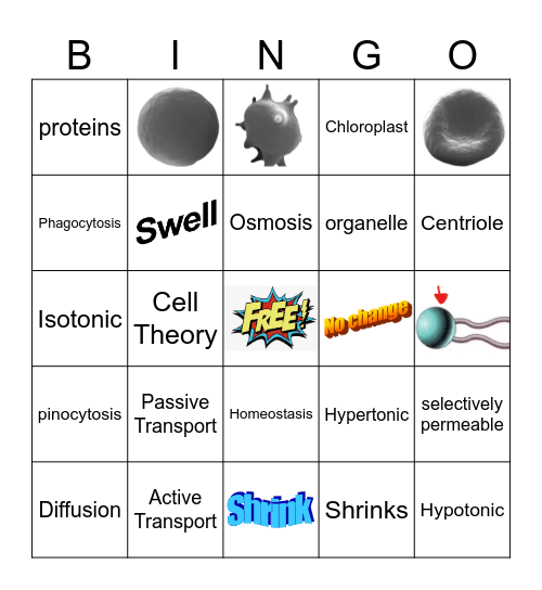 Biology Module 7 Review Bingo Card
