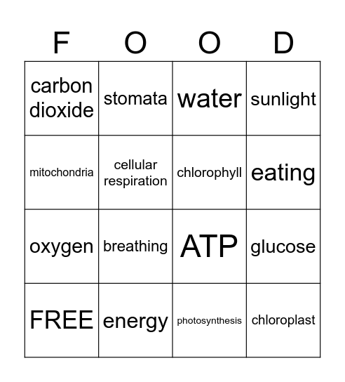 Photosynthesis and Cellular Respiration Bingo Card