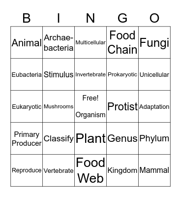 Classification Bingo Card