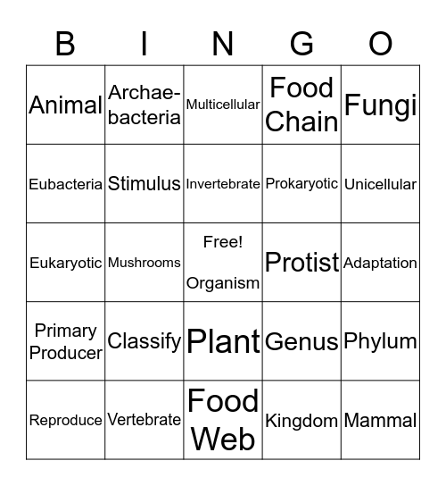 Classification Bingo Card