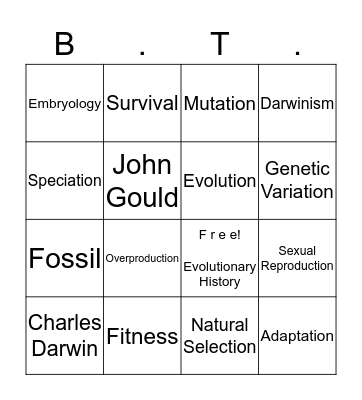 Evolutionary History  Bingo Card