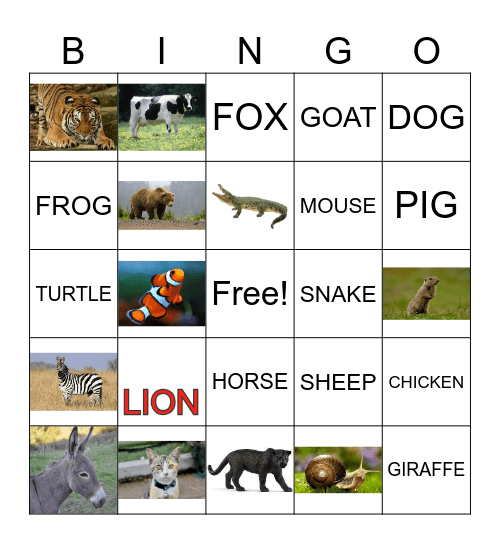 Animals Bingo Card