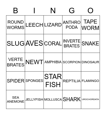 Animal Kingdom Bingo Card