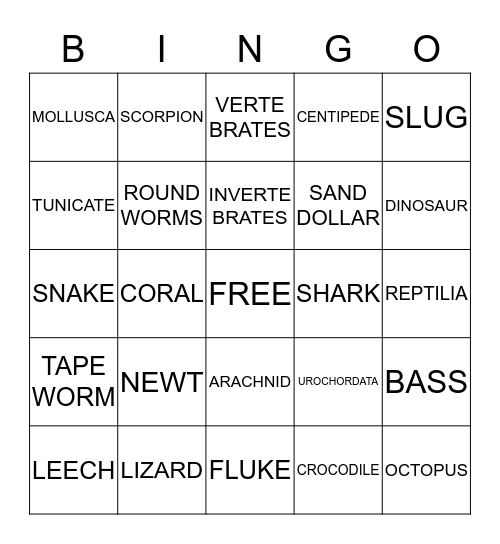 Animal Kingdom Bingo Card