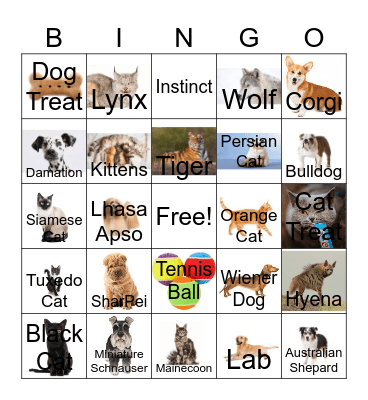 Cat and Dog Bingo Card