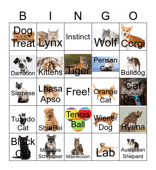 Cat and Dog Bingo Card