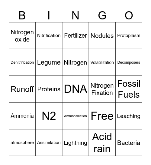 Nitrogen Cycle Bingo Card