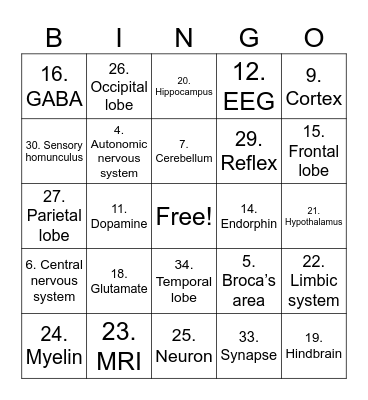 Biological Bases Bingo Card