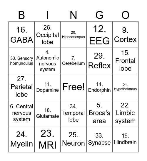Biological Bases Bingo Card