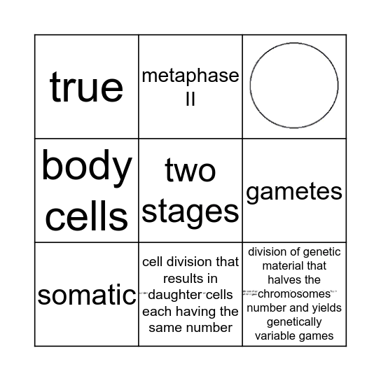 Meiosis Bingo Card