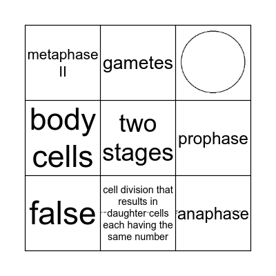 Meiosis Bingo Card